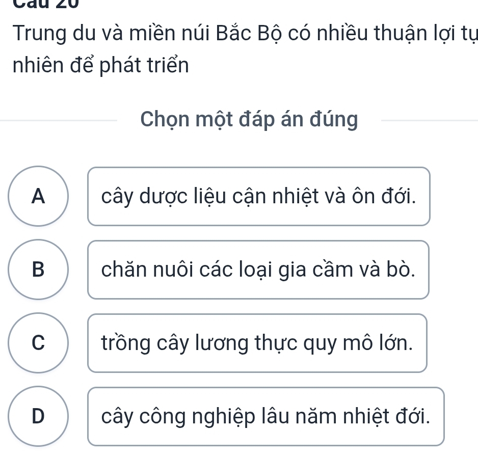 Cau
Trung du và miền núi Bắc Bộ có nhiều thuận lợi tự
nhiên để phát triển
Chọn một đáp án đúng
A cây dược liệu cận nhiệt và ôn đới.
B chăn nuôi các loại gia cầm và bò.
C trồng cây lương thực quy mô lớn.
D cây công nghiệp lâu năm nhiệt đới.