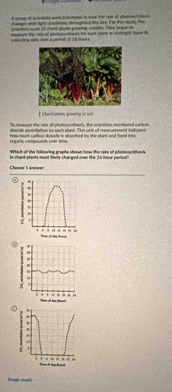 A group of scnsts were inteated in how the rate of phatusentivalls
changes witn light conditions throughout the day. For this study, the
scontsts used 10 chard plants growing autside. They began fo
meaiare the rate of photasenthesG for each plant at midnight (bour i)
callecting csta over a peried of 24 bouis.
| Chard plants growing in sail
To measure the rate of photosynthesis, the scientists monitored carbon
dioxide assimilation by each plant. This unit of measurement indicates
how much carbon dioxide is absorbed by the plant and fixed into
organic compounds over time.
Which of the following graphs shows how the rate of photosynthesis
in chard plants most likely changed over the 24-hour period?
Choose 1 answer:
a
10
20
。
10
、
1 B 9 u 1% 21 2
Time of day (hour)
a
35
m
: z
8 s
9 12 15 18 21 24
Time of day (huur)
Image credit