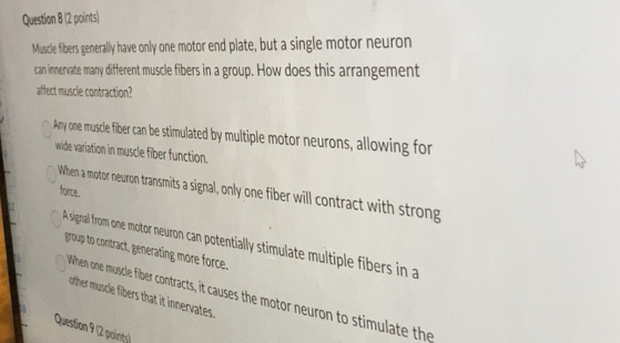 Solved: Muscle fibers generally have only one motor end plate, but a ...