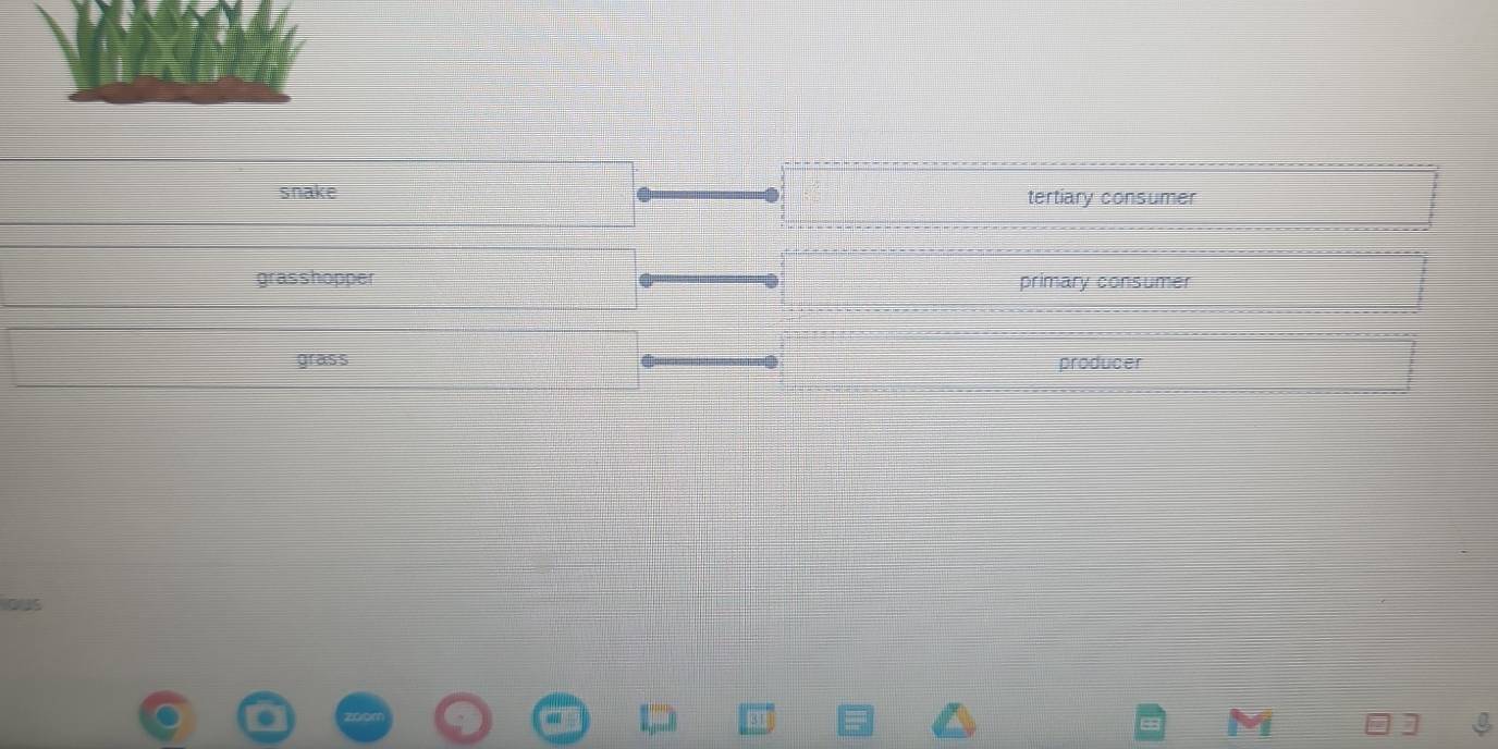 snake tertiary consumer
grasshopper primary consumer
grass producer
te
]