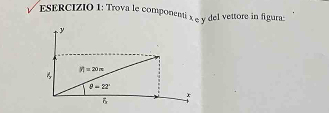 Trova le componenti x e y del vettore in figura: