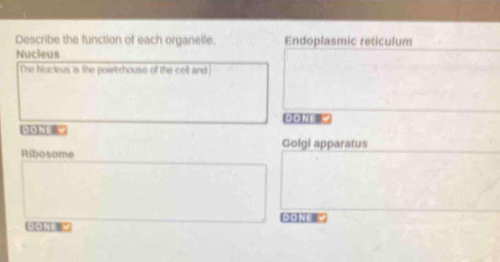 Describe the function of each organelle. Endoplasmic reticulum 
Nucieus 
The Nucleus is the powerhouse of the cell and 
DONE 
Golgi apparatus 
Ribosome 
DONEY