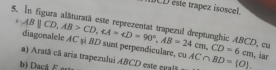 MCD este trapez isoscel. 
5. In figura alăturată este reprezentat trapezul dreptunghic ABCD, cu ABparallel CD, AB>CD, AA=4D=90°, AB=24cm, CD=6cm diagonalele AC şì BD sunt perpendiculare, cu AC∩ BD= O. , iar 
a) Aratã cã aria trapezului ABCD este cgalã 
b) Dacã E esta