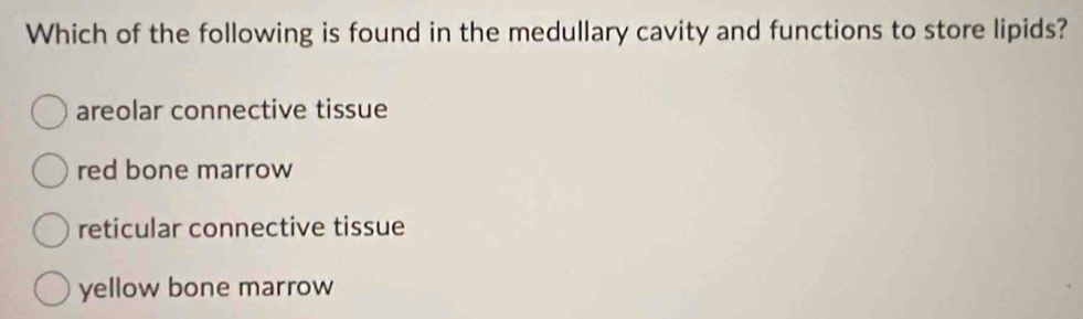 Which of the following is found in the medullary cavity and functions to store lipids?
areolar connective tissue
red bone marrow
reticular connective tissue
yellow bone marrow