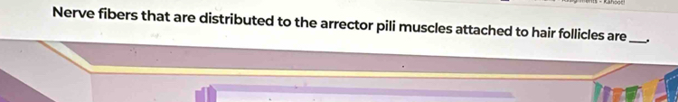 Nerve fibers that are distributed to the arrector pili muscles attached to hair follicles are_ .