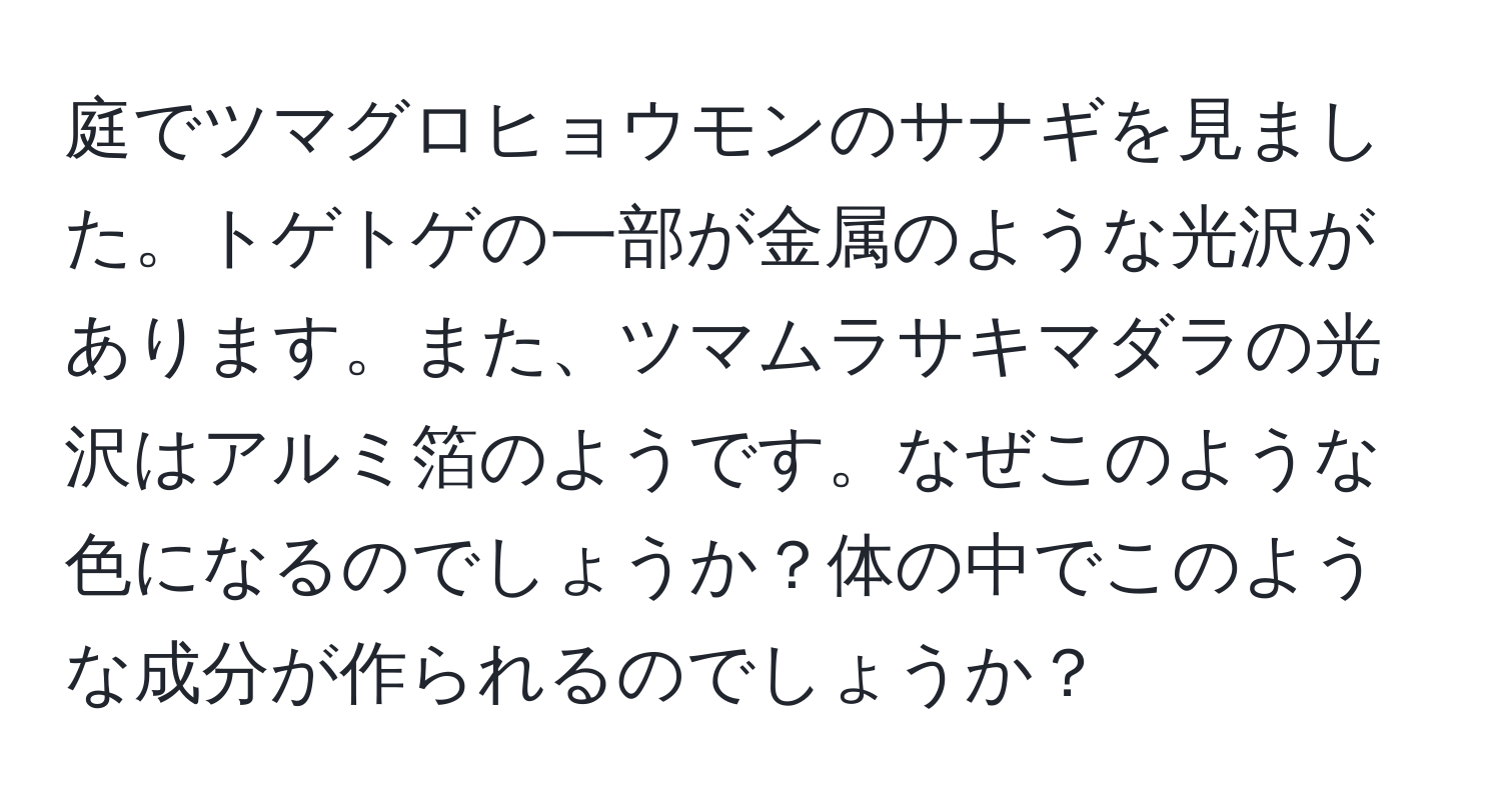 庭でツマグロヒョウモンのサナギを見ました。トゲトゲの一部が金属のような光沢があります。また、ツマムラサキマダラの光沢はアルミ箔のようです。なぜこのような色になるのでしょうか？体の中でこのような成分が作られるのでしょうか？