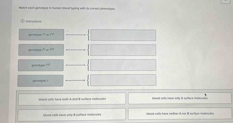 Solved: Match each genotype in human blood typing with its correct ...
