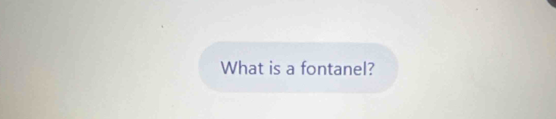 What is a fontanel?