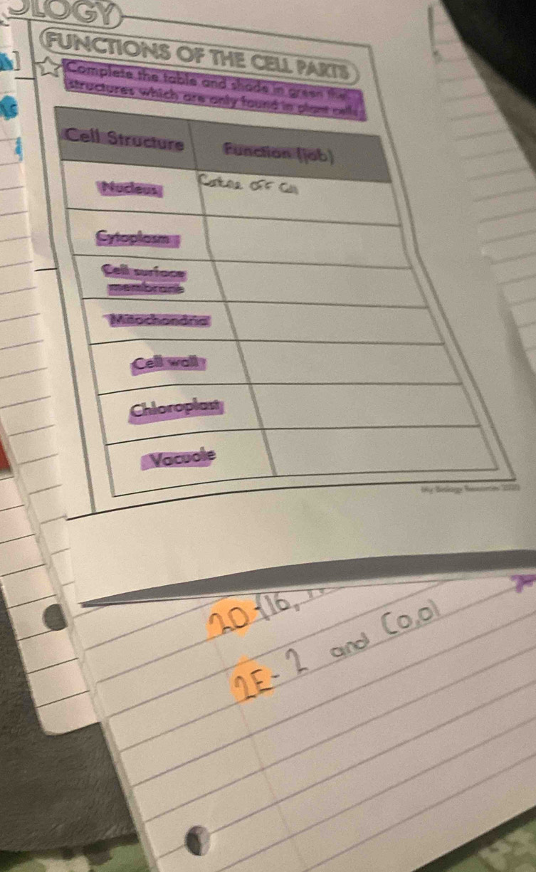 SLOGY 
FUNCTIONS OF THE CELL PAKTS 
I 7 Complete the table an 
1