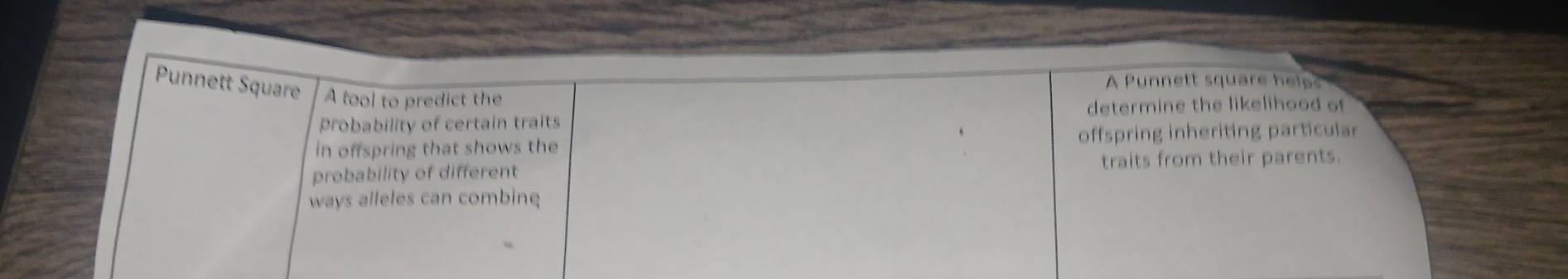 A Punnett square help 
Punnett Square A tool to predict the 
determine the likelihood o 
probability of certain traits 
in offspring that shows the offspring inheriting particular 
probability of different traits from their parents. 
ways alleles can combine