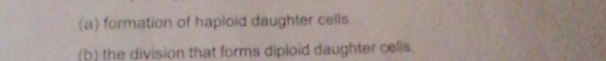 formation of haploid daughter cells 
(b) the division that forms diploid daughter cells.