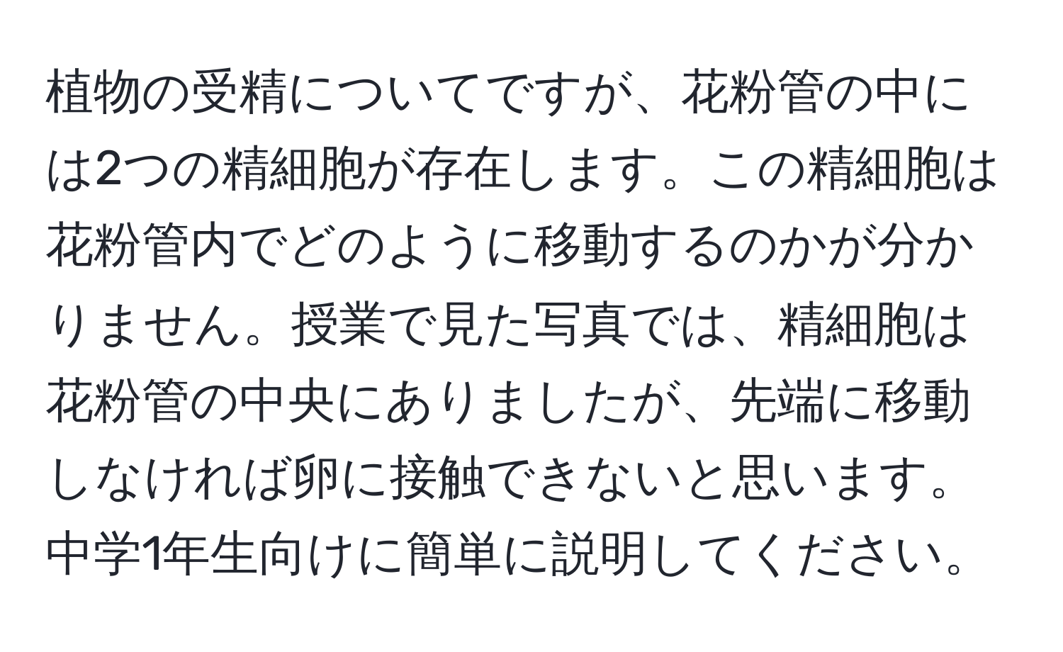 植物の受精についてですが、花粉管の中には2つの精細胞が存在します。この精細胞は花粉管内でどのように移動するのかが分かりません。授業で見た写真では、精細胞は花粉管の中央にありましたが、先端に移動しなければ卵に接触できないと思います。中学1年生向けに簡単に説明してください。