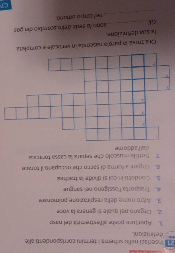 Inserisci nello schema i termini corrispondenti alle 
definizioni. 
1. Aperture poste all'estremità del naso 
2. Organo nel quale si genera la voce 
3. Altro nome della respirazione polmonare 
4. Trasporta l'ossigeno nel sangue 
5. Condotti in cui si divide la trachea 
6. Organi a forma di sacco che occupano il torace 
7. Sottile muscolo che separa la cassa toracica 
dall'addome 
Ora trova la parola nascosta in verticale e completa 
la sua definizione. 
Gli_ 
sono la sede dello scambio dei gas 
_ 
nel corpo umano.