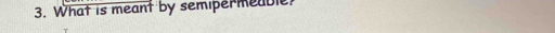 What is meant by semipermeable?