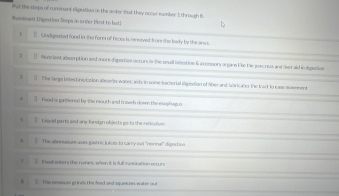 Put the steps of ruminant digestion in the order that they occur number 1 through 8. 
Ruminant Digestion Steps in order (first to last) 
1 Undigested food in the form of feces is removed from the body by the anus. 
2 Nutrient absorption and more digestion occurs in the small intestine & accessory organs like the pancreas and liver aid in digestion 
3 The large intestine/colon absorbs water, aids in some bacterial digestion of fber and lubricates the tract to ease movement 
4 Food is gathered by the mouth and travels down the esophagus 
3 — Liquid parts and any foreign objects go to the reticulum 
6 The abomasum uses gastric juices to carry out "normal" digestion 
7 Food enters the rumen, when it is full rumination occurs 
B The omasum grinds the feed and squeezes water out