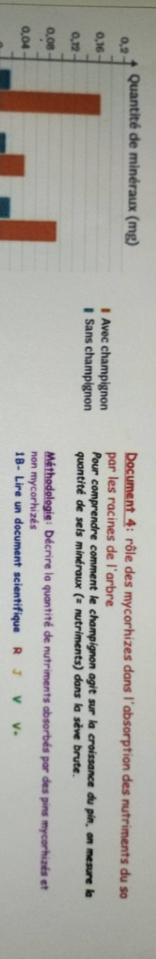 Document 4: rôle des mycorhizes dans l'absorption des nutriments du so 
€Avec champignon par les racines de l'arbre 
Pour comprendre comment le champignon agit sur la croissance du pin, on mesure la 
₹Sans champignon quantité de sels minéraux (= nutriments) dans la sève brute. 
Méthodologie: Décrire la quantité de nutriments absorbés par des pins mycorhizés et 
non mycorhizés 
1B- Lire un document scientifique R J V V.