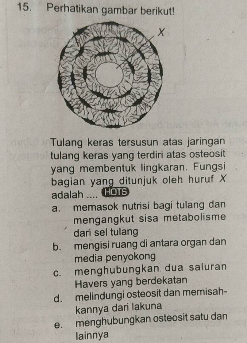 Perhatikan gambar berikut!
Tulang keras tersusun atas jaringan
tulang keras yang terdiri atas osteosit
yang membentuk lingkaran. Fungsi
bagian yang ditunjuk oleh huruf X
adalah .. HOTS
a. memasok nutrisi bagi tulang dan
mengangkut sisa metabolisme
dari sel tulang
b. mengisi ruang di antara organ dan
media penyokong
c. menghubungkan dua saluran
Havers yang berdekatan
d. melindungi osteosit dan memisah-
kannya dari lakuna
e. menghubungkan osteosit satu dan
lainnya