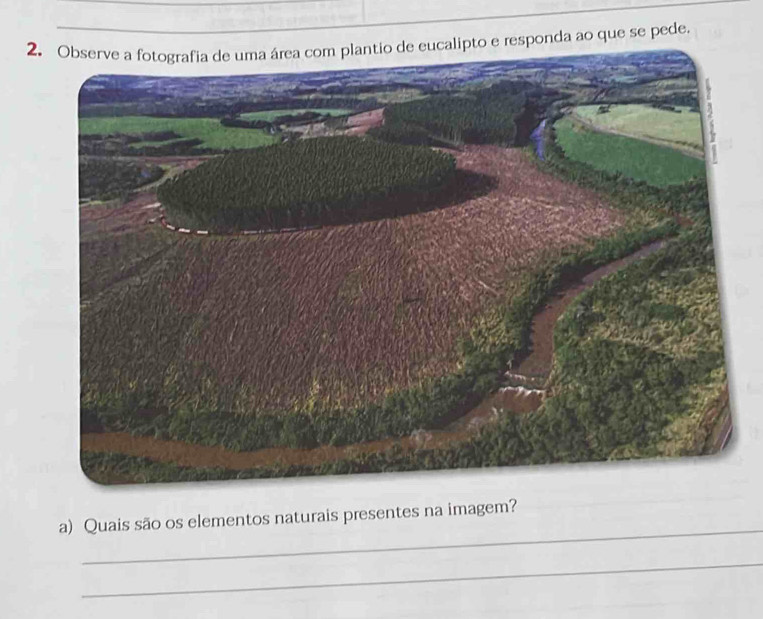 Observe a fotografia de uma área com plantio de eucalipto e responda ao que se pede. 
_ 
a) Quais são os elementos naturais presentes na imagem? 
_