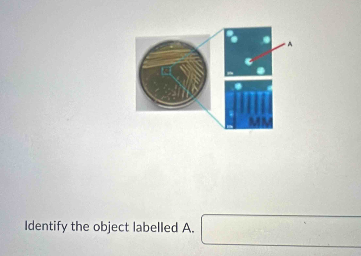 Identify the object labelled A. □