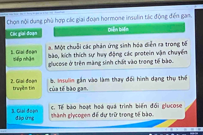 Chọn nội dung phù hợp các giai đoạn hormone insulin tác động đến gan. 
Các giai đoạn Diễn biến 
1. Giai đoạn a. Một chuỗi các phản ứng sinh hóa diễn ra trong tế 
tiếp nhận bào, kích thích sự huy động các protein vận chuyển 
glucose ở trên màng sinh chất vào trong tế bào. 
2. Giai đoạn b. Insulin gắn vào làm thay đổi hình dạng thụ thế 
truyền tin của tế bào gan. 
3. Giai đoạn c. Tế bào hoạt hoá quá trình biến đổi glucose 
đáp ứng thành glycogen để dự trữ trong tế bào.