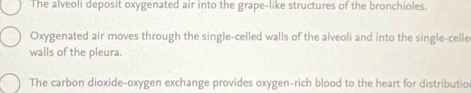 The alveoli deposit oxygenated air into the grape-like structures of the bronchioles. 
Oxygenated air moves through the single-celled walls of the alveoli and into the single-celle 
walls of the pleura. 
The carbon dioxide-oxygen exchange provides oxygen-rich blood to the heart for distributio