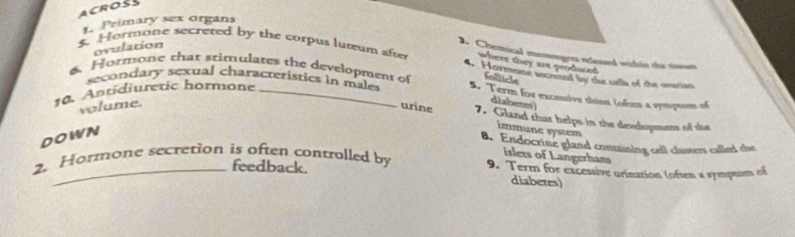 ACROSS 
1. Primary sex organs 
ovulation 
2. Chemical mestengres released within the sisse 
$. Hormone secreted by the corpus luteum aftn 4. Hormone secreted by the cells of the evacian 
where they are produced 
follicle 
secondary sexual characteristics in males 
. Hormone that stimulates the development of 5. Term for excessive thint lofeen a sympsom of 
10. Antidiuretic hormone_ 
diabetes 
volume. urine 7. Gland that helps in the developmens of the 
DOWN 
İmmune system 
8. Endocrine gland containing cell clusters called the 
islets of Langerhans 
2. Hormone secretion is often controlled by 9. Term for excessive urination (often a sympsom of 
feedback. diabetes)