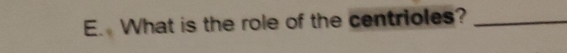 What is the role of the centrioles?_