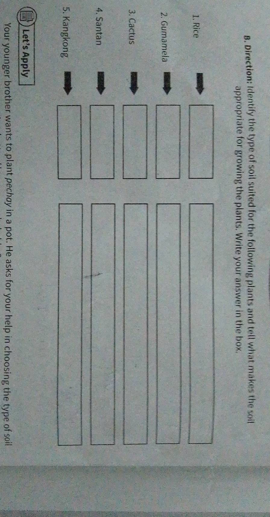 Direction: Identify the type of soil suited for the following plants and tell what makes the soil 
appropriate for growing the plants. Write your answer in the box. 
1. Rice 
2. Gumamela 
3. Cactus 
4. Santan 
5. Kangkong 
Let’s Apply 
Your younger brother wants to plant pechay in a pot. He asks for your help in choosing the type of soil