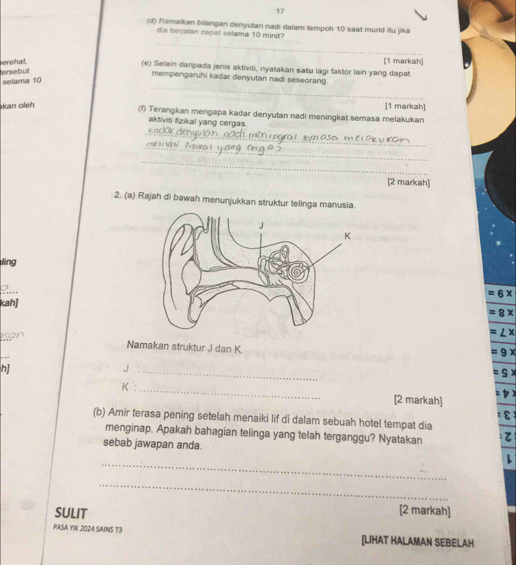 17 
(d) Ramalkan bilangan denyutan nadi dalam tempoh 10 saat murid itu jika 
dia berjalan cepat selama 10 minit? 
_ 
erehat, [1 markah] 
(e) Selain daripada jenis aktiviti, nyatakan satu lagi faktor lain yang dapat 
tersebut 
_ 
mempengaruhi kadar denyutan nadi seseorang. 
selama 10
kan oleh [1 markah] 
(f) Terangkan mengapa kadar denyutan nadi meningkat semasa melakukan 
aktiviti fizikal yang cergas. 
_ 
_ 
_ 
[2 markah] 
2. (a) Rajah di bawah menunjukkan struktur telinga manusia. 
ling
=6*
kah]
=8x
=∠ x
Namakan struktur J dan K.
=9x
h] 
_ 
:g) 
K :_ 
[2 markah] 
(b) Amir terasa pening setelah menaiki lif di dalam sebuah hotel tempat dia 
menginap. Apakah bahagian telinga yang telah terganggu? Nyatakan 
sebab jawapan anda. 
_ 
_ 
SULIT [2 markah] 
PASA YIK 2024 SAINS T3 [LIHAT HALAMAN SEBELAH