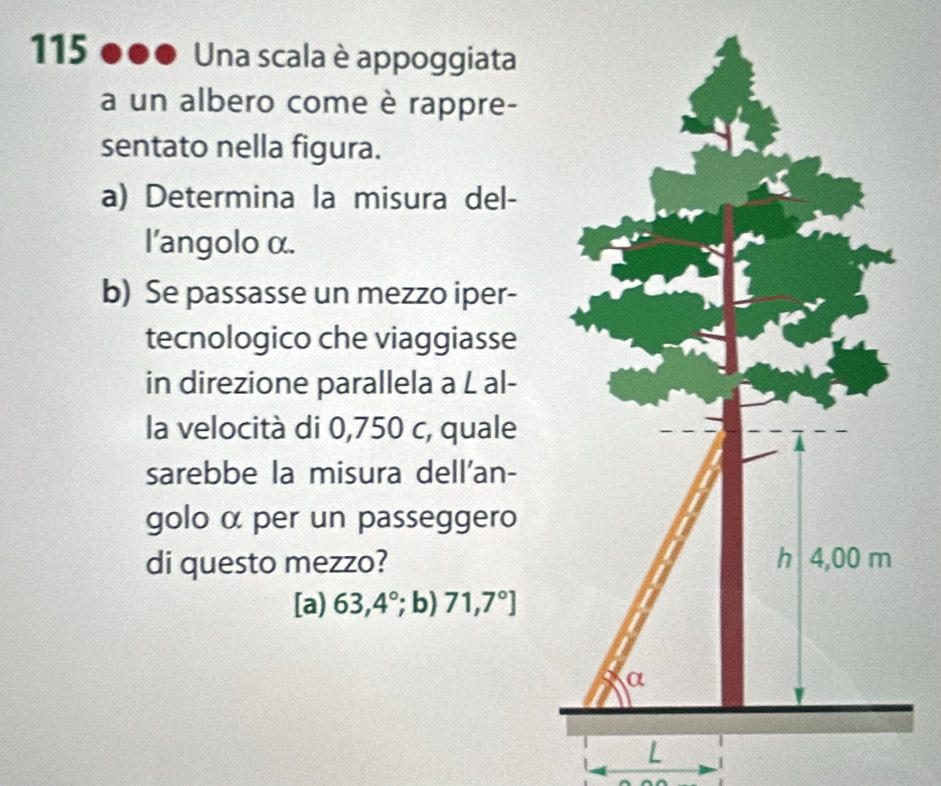 115 Una scala è appoggiata
a un albero come è rappre-
sentato nella figura.
a) Determina la misura del-
l'angolo α.
b) Se passasse un mezzo iper-
tecnologico che viaggiasse
in direzione parallela a L al-
la velocità di 0,750 c, quale
sarebbe la misura dell'an-
golo α per un passeggero
di questo mezzo?
[a) 63,4°; b) 71,7°]
L