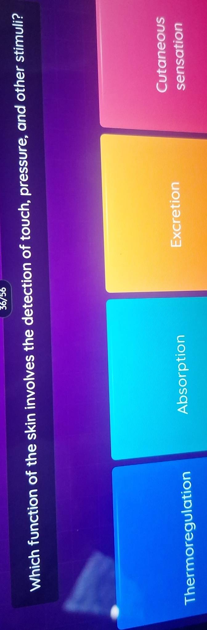 36/56
Which function of the skin involves the detection of touch, pressure, and other stimuli?
Cutaneous
Thermoregulation Absorption
Excretion
sensation