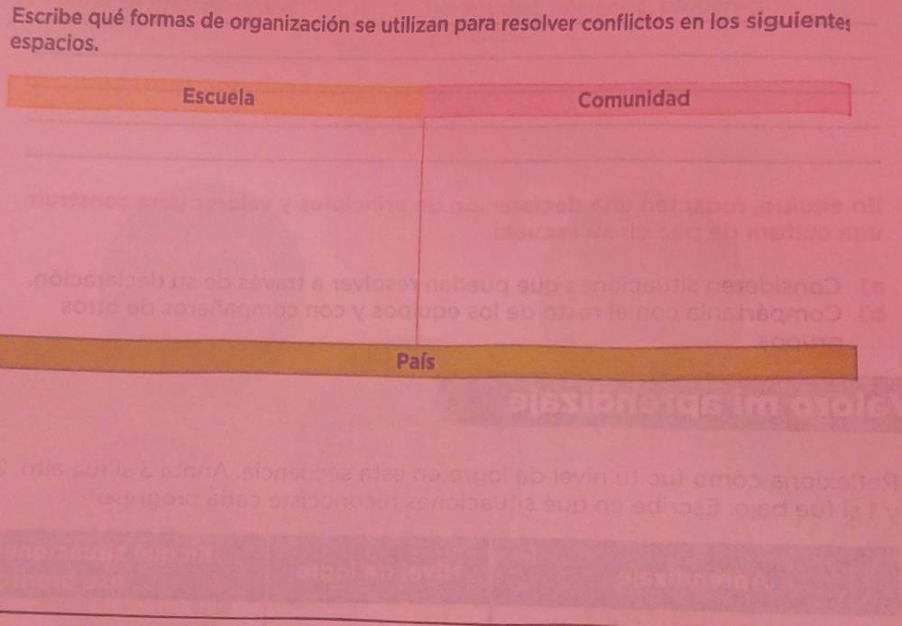 Escribe qué formas de organización se utilizan para resolver conflictos en los siguientes 
espacios. 
Escuela Comunidad 
País