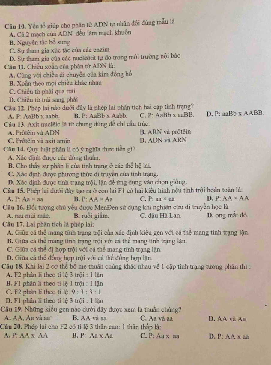 Yếu tổ giúp cho phân tử ADN tự nhân đôi đúng mẫu là
A. Cả 2 mạch của ADN đều làm mạch khuồn
B. Nguyên tắc bổ sung
C. Sự tham gia xúc tác của các enzim
D. Sự tham gia của các nuclêôtit tự do trong môi trường nội bảo
Câu 11. Chiều xoắn của phân tử ADN là:
A. Cùng với chiều di chuyển của kim đồng hồ
B. Xoắn theo mọi chiều khác nhau
C. Chiều từ phải qua trái
D. Chiều từ trái sang phải
Câu 12. Phép lai nào dưới đây là phép lai phân tích hai cặp tính trạng?
A. P: AaBb x aabb B. P: AaBb x Aabb. C. P: AaBb x aaBB. D. P: : aaBb* AABB.
Câu 13. Axit nuclêic là từ chung dùng để chỉ cấu trúc:
A. Prôtêin và ADN B. ARN và prôtêin
C. Prôtêin và axit amin D. ADN và ARN
Câu 14. Quy luật phân li có ý nghĩa thực tiễn gì?
A. Xác định được các dòng thuần.
B. Cho thấy sự phân li của tính trạng ở các thế hệ lai.
C. Xác định được phương thức di truyền của tính trạng.
D. Xác định được tính trạng trội, lặn đề ứng dụng vào chọn giống.
Câu 15. Phép lai dưới đây tạo ra ở con lai F1 có hai kiểu hình nếu tính trội hoàn toàn là:
A. P:Aa* aa B. P: AA* Aa C. P: aa* aa D. P:AA* AA
Câu 16. Đối tượng chủ yếu được MenĐen sử dụng khi nghiên cứu di truyền học là
A. rau mũi mác. B. ruồi giấm. C. đậu Hà Lan. D. ong mắt đỏ.
Câu 17. Lai phân tích là phép lai:
A. Giữa cá thể mang tính trạng trội cần xác định kiểu gen với cá thể mang tính trạng lặn.
B. Giữa cá thể mang tính trạng trội với cá thể mang tính trạng lặn.
C. Giữa cá thể đị hợp trội với cá thể mang tính trạng lặn.
D. Giữa cá thể đồng hợp trội với cá thể đồng hợp lặn.
Câu 18. Khi lai 2 cơ thể bố mẹ thuần chủng khác nhau về 1 cặp tính trạng tương phản thì :
A. F2 phân li theo tỉ lệ 3 troi:1k n
B. F1 phân li theo tỉ lệ 1 trhat Qi:1lhat ar
C. F2 phân li theo tỉ lệ 9:3:3:1
D. F1 phân li theo tỉ lệ 3 trội :1 lặn
Câu 19. Những kiểu gen nào dưới đây được xem là thuần chủng?
A. AA, Aa và a B. AA và aa C. Aa và aa D. AA và Aa
Câu 20. Phép lai cho F2 có tỉ lệ 3 thân cao: 1 thân thấp là:
A. P: AA* AA B. P: Aa xA 1 C. P: Aa x aa D. P: AA x aa