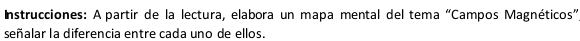 Instrucciones: A partir de la lectura, elabora un mapa mental del tema “Campos Magnéticos” 
señalar la diferencia entre cada uno de ellos.