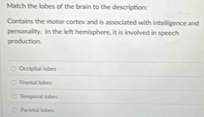 Match the lobes of the brain to the description:
Contains the motor cortex and is associated with intelligence and
personality. In the left hemisphere, it is involved in speech
production.
Occipital lobes
Frontal lobes
Temporal lobes
Parietal lobes