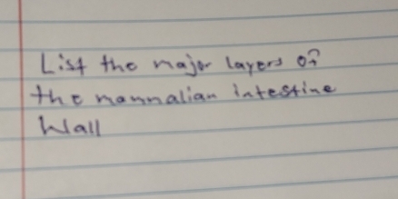 List the major layers on 
the maumalian intestine 
Wall