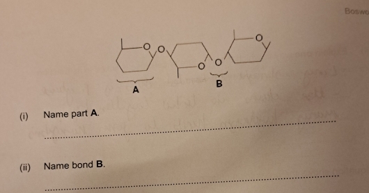 Boswe 
_ 
(i) Name part A. 
_ 
(ii) Name bond B.