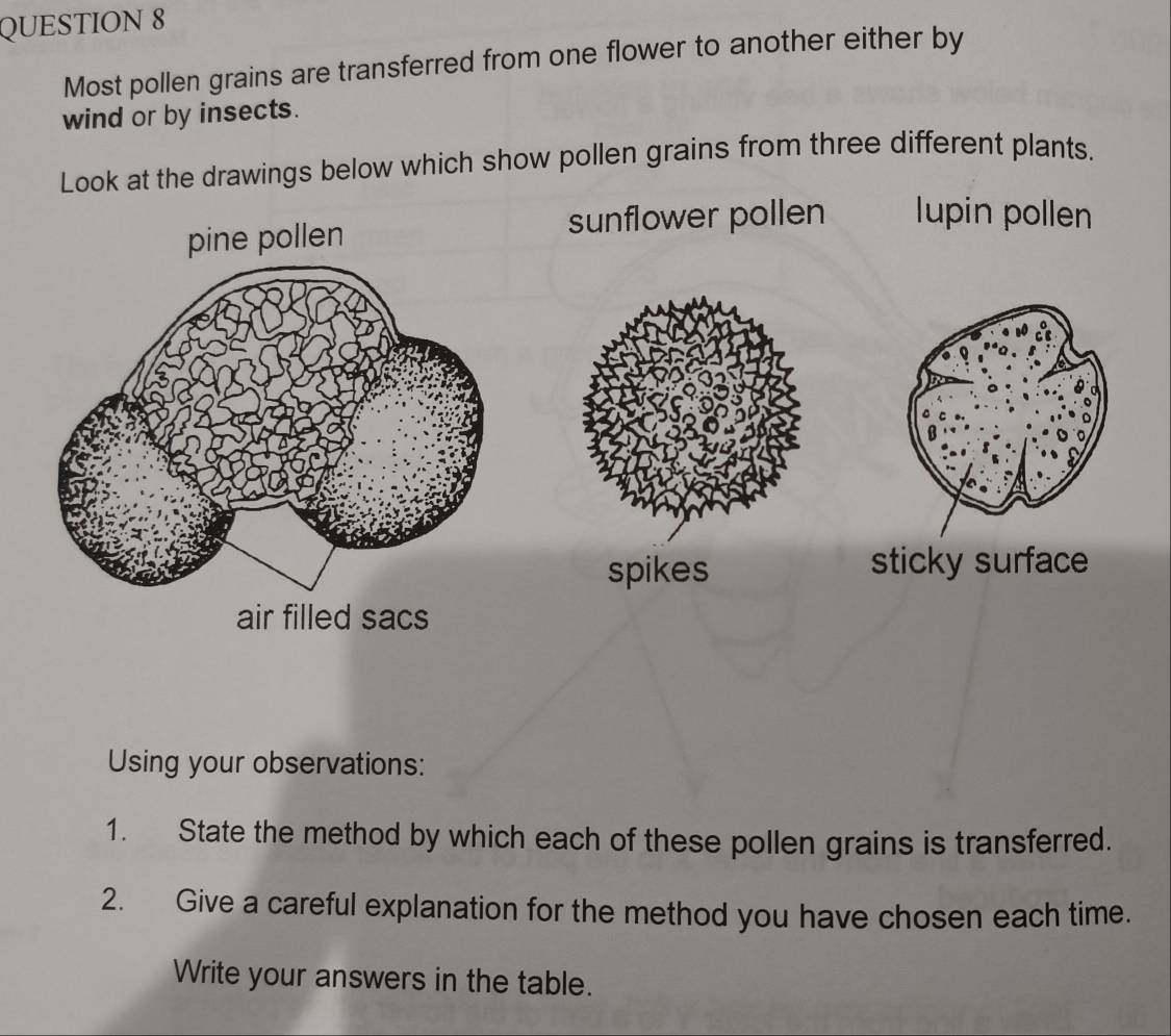 Most pollen grains are transferred from one flower to another either by
wind or by insects.
Look at the drawings below which show pollen grains from three different plants.
sunflower pollen lupin pollen
spikessticky surface
Using your observations:
1. State the method by which each of these pollen grains is transferred.
2. Give a careful explanation for the method you have chosen each time.
Write your answers in the table.