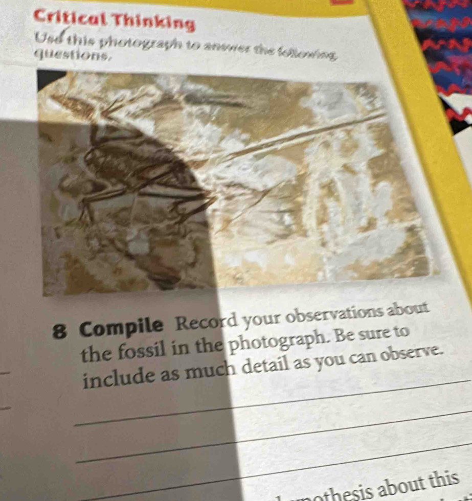 Critical Thinking 
Use this photograph to answer the following 
questions. 
8 Compile Record your observations about 
the fossil in the photograph. Be sure to 
_ 
include as much detail as you can observe. 
_ 
_ 
nothesis about this