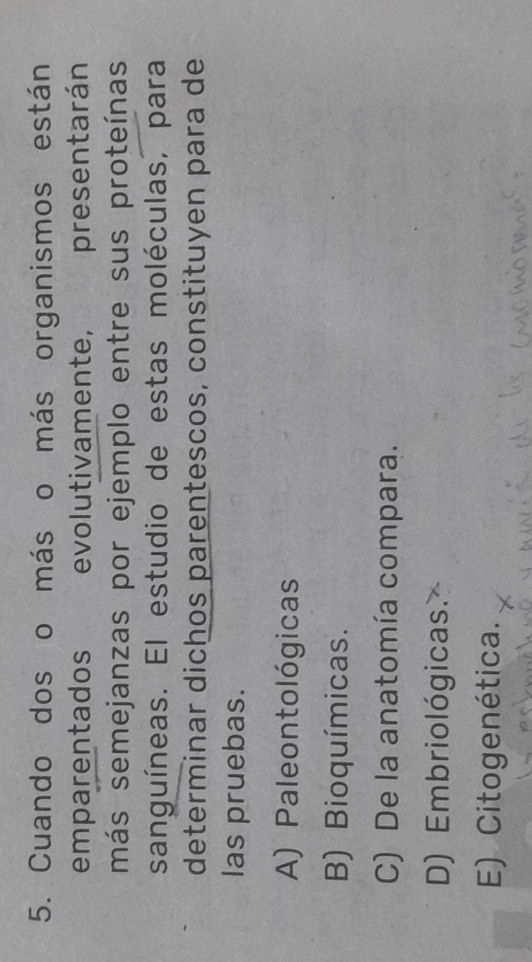 Cuando dos o más o más organismos están
emparentados evolutivamente, presentarán
más semejanzas por ejemplo entre sus proteínas
sanguíneas. El estudio de estas moléculas, para
determinar dichos parentescos, constituyen para de
las pruebas.
A) Paleontológicas
B) Bioquímicas.
C) De la anatomía compara.
D) Embriológicas
E) Citogenética.