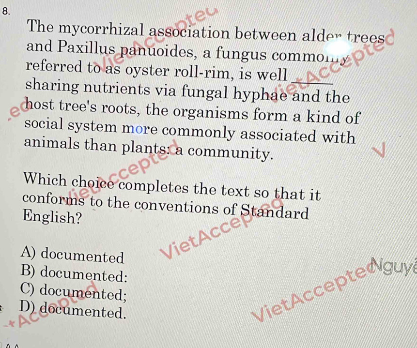 The mycorrhizal association between alder trees
and Paxillus panuoides, a fungus commomy
referred to as oyster roll-rim, is well
sharing nutrients via fungal hyphae and the
host tree's roots, the organisms form a kind of
social system more commonly associated with
animals than plants: a community.
Which choice completes the text so that it
conforms to the conventions of Standard
English?
A) documented
B) documented:
VietAccepte guy
C) documented;
D) documented.