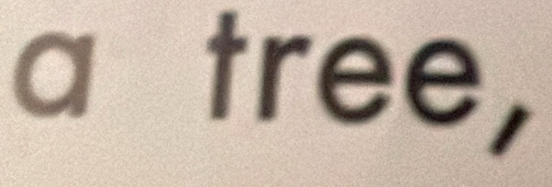 a tree,