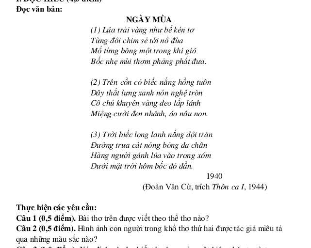 Đọc văn bản: 
ngày mùa 
(1) Lúa trải vàng như bể kén tơ 
Từng đôi chim sẻ tới nô đùa 
Mồ từng bông một trong khi gió 
Bốc nhẹ mùi thơm phảng phất đưa. 
(2) Trên cổn cỏ biếc nắng hồng tuôn 
Dây thắt lưng xanh nón nghệ tròn 
Cô chủ khuyên vàng đeo lấp lánh 
Miệng cười đen nhánh, áo nâu non. 
(3) Trời biếc long lanh nắng dội tràn 
Đường trưa cát nóng bỏng da chân 
Hàng người gánh lúa vào trong xóm 
Dưới mặt trời hôm bốc đỏ dần. 
1940 
(Đoàn Văn Cù, trích Thôn ca I, 1944) 
Thực hiện các yêu cầu: 
Câu 1 (0,5 điểm). Bài thơ trên được viết theo thể thơ nào? 
Câu 2 (0,5 điểm). Hình ảnh con người trong khổ thơ thứ hai được tác giả miêu tả 
qua những màu sắc nào?