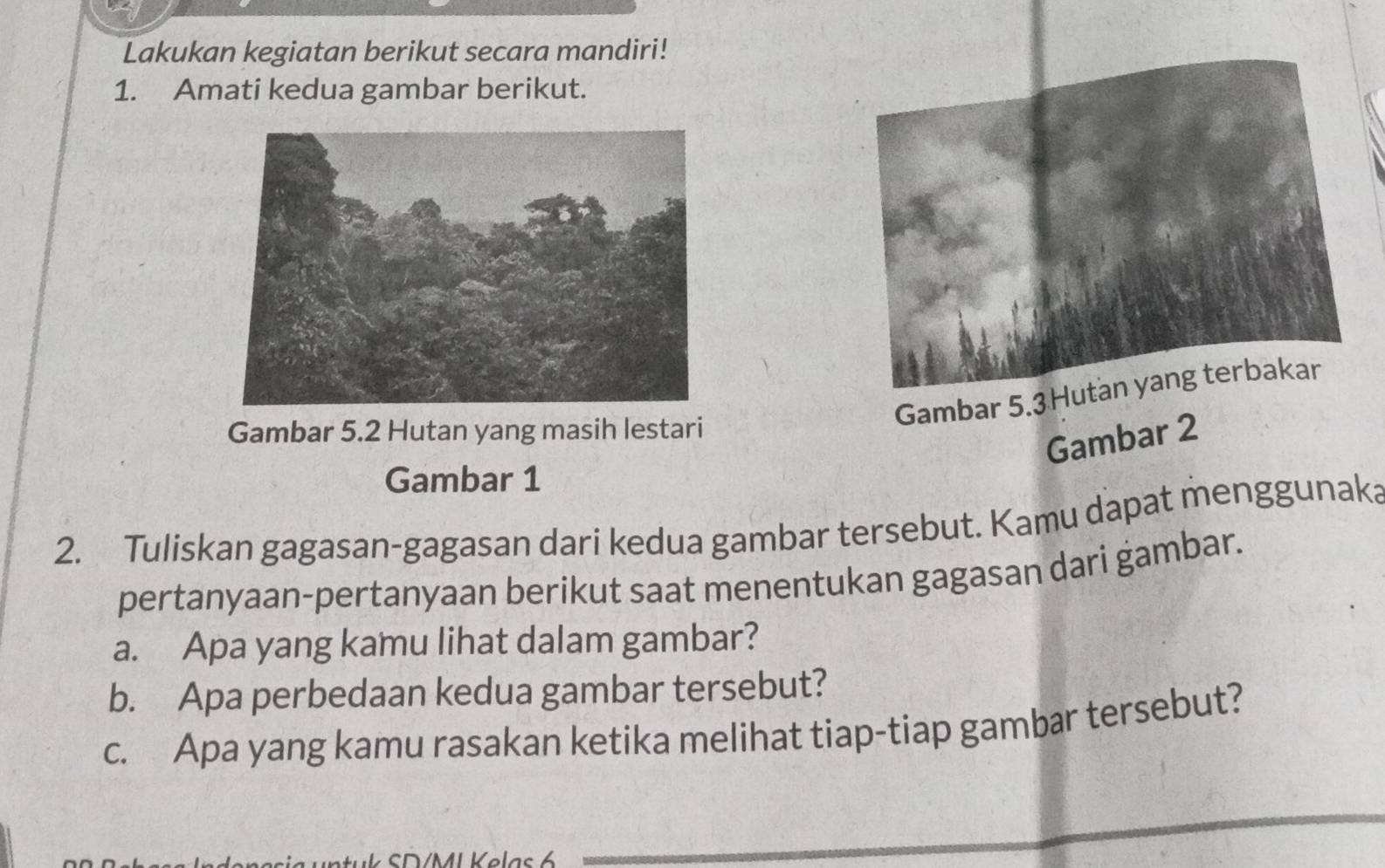 Lakukan kegiatan berikut secara mandiri! 
1. Amati kedua gambar berikut. 
Gambar 5.2 Hutan yang masih lestari 
Gambar 5.3Hutan yang terbakar 
Gambar 2
Gambar 1
2. Tuliskan gagasan-gagasan dari kedua gambar tersebut. Kamu dapat menggunaka 
pertanyaan-pertanyaan berikut saat menentukan gagasan dari gambar. 
a. Apa yang kamu lihat dalam gambar? 
b. Apa perbedaan kedua gambar tersebut? 
c. Apa yang kamu rasakan ketika melihat tiap-tiap gambar tersebut? 
Suk SD/MI Kelas 6