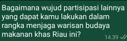 Bagaimana wujud partisipasi lainnya 
yang dapat kamu lakukan dalam 
rangka menjaga warisan budaya 
makanan khas Riau ini?
14.39 √