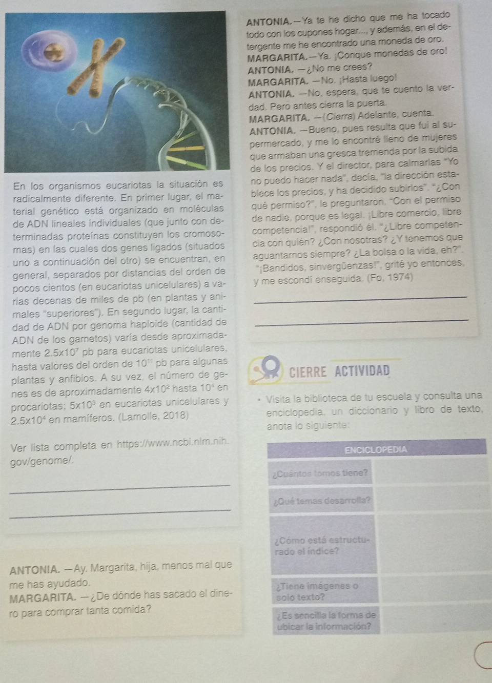TONIA.—Ya te he dicho que me ha tocado
o con los cupones hogar..., y además, en el de-
gente me he encontrado una moneda de oro.
RGARITA.—Ya. ¡Conque monedas de oro!
TONIA. —¿No me crees?
RGARITA. —No. ¡Hasta luego!
TONIA. —No, espera, que te cuento la ver-
d. Pero antes cierra la puerta.
ARGARITA. —(Cierra) Adelante, cuenta.
NTONIA. —Bueno, pues resulta que fui al su-
ermercado, y me lo encontré lleno de mujeres
e armaban una gresca tremenda por la subida
los precios. Y el director, para calmarlas “Yo
En los organismos eucariotas la situación eso puedo hacer nada'', decía, ''la dirección esta-
radicalmente diferente. En primer lugar, el ma- blece los precios, y ha decidido subirlos”. “¿Con
terial genético está organizado en moléculas qué permiso?”, le preguntaron, “Con el permiso
de ADN lineales individuales (que junto con de- de nadie, porque es legal. ¡Libre comercio, libre
terminadas proteínas constituyen los cromoso- competencia!”, respondió él. “¿Libre competen-
mas) en las cuales dos genes ligados (situados cia con quién? ¿Con nosotras? ¿Y tenemos que
uno a continuación del otro) se encuentran, en aguantarnos siempre? ¿La bolsa o la vida, eh?".
general, separados por distancias del orden de  "¡Bandidos, sinvergüenzas!", grité yo entonces,
pocos cientos (en eucariotas unicelulares) a va- y me escondi enseguida. (Fo, 1974)
rias decenas de miles de pb (en plantas y ani-_
males "superiores"). En segundo lugar, la canti-
dad de ADN por genoma haploide (cantidad de
_
ADN de los gametos) varía desde aproximada-
mente 2.5* 10^7 pb para eucariotas unicelulares,
hasta valores del orden de 10^(11) pb para algunas
plantas y anfibios. A su vez, el número de ge- CIERRE ACTIVIDAD
nes es de aproximadamente 4* 10^2 hasta 10^4 en
procariotas; 5* 10^3 en eucariotas unicelulares y Visita la biblioteca de tu escuela y consulta una
2.5* 10^4 en mamíferos. (Lamolle, 2018) enciclopedia, un diccionario y libro de texto,
anota lo siguiente:
Ver lista completa en https://www.ncbi.nlm.nih.
gov/genome/.
_
_
ANTONIA. —Ay. Margarita, hija, menos mal que
me has ayudado.
MARGARITA. —¿De dónde has sacado el dine- 
ro para comprar tanta comida?