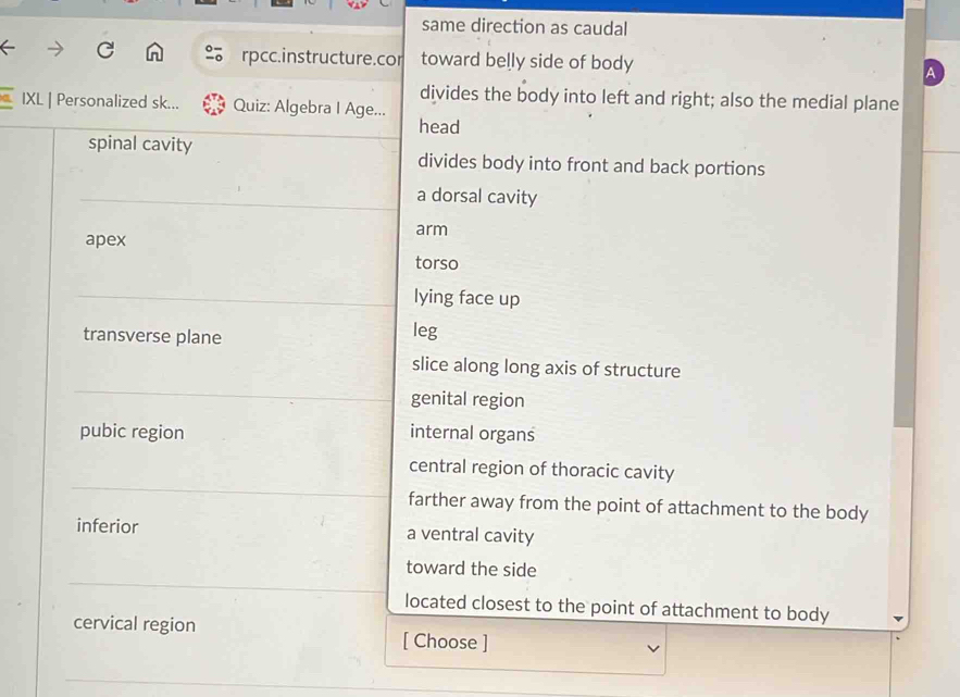 same direction as caudal
rpcc.instructure.cor
← C toward belly side of body A
divides the body into left and right; also the medial plane
IXL | Personalized sk... Quiz: Algebra I Age...
head
spinal cavity divides body into front and back portions
a dorsal cavity
arm
apex
torso
lying face up
transverse plane
leg
slice along long axis of structure
genital region
pubic region internal organs
central region of thoracic cavity
farther away from the point of attachment to the body
inferior a ventral cavity
toward the side
located closest to the point of attachment to body
cervical region [ Choose ]