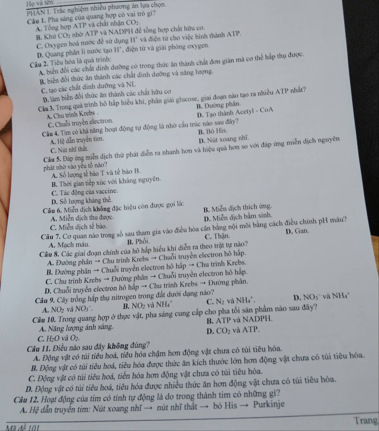 Họ và tên:
PHÀN I. Trắc nghiệm nhiều phương án lựa chọn.
Câu 1. Pha sáng của quang hợp có vai trò gì?
A. Tổng hợp ATP và chất nhận CO_2.
B. Khử CO_2 nhờ ATP và NADPH đề tổng hợp chất hữu cơ.
C. Oxygen hoá nước đề sử dụng H* và điện tử cho việc hình thành ATP.
D. Quang phân li nước tạo H *  diện tử và giải phóng oxygen.
Câu 2. Tiêu hóa là quá trình:
A. biển đổi các chất dinh dưỡng có trong thức ăn thành chất đơn giản mà cơ thể hấp thụ được.
B. biến đổi thức ăn thành các chất dinh dưỡng và năng lượng.
C. tạo các chất dinh dưỡng và NL
D. làm biến đổi thức ăn thành các chất hữu cơ
Câu 3. Trong quá trình hô hấp hiếu khí, phân giải glucose, giai đoạn nào tạo ra nhiều ATP nhất?
A. Chu trình Krebs . B. Đường phân.
C. Chuỗi truyền electron. D. Tạo thành Acetyl - CoA
Câu 4. Tim có khả năng hoạt động tự động là nhờ cầu trúc nào sau đây?
A. Hệ dẫn truyền tim. B. Bó His.
C. Nút nhĩ thất. D. Nút xoang nhĩ.
Câu 5. Đáp ứng miễn dịch thứ phát diễn ra nhanh hơn và hiệu quả hơn so với đáp ứng miễn dịch nguyên
phát nhờ vào yếu tố nào?
A. Số lượng tế bào T và tế bào B.
B. Thời gian tiếp xúc với kháng nguyên.
C. Tác động của vaccine.
D. Số lượng kháng thể.
Câu 6. Miễn dịch không đặc hiệu còn được gọi là:
B. Miễn dịch thích ứng.
A. Miễn dịch thu được. D. Miễn dịch bầm sinh.
C. Miễn dịch tế bào.
Câu 7. Cơ quan nào trong số sau tham gia vào điều hòa cân bằng nội môi bằng cách điều chỉnh pH máu?
A. Mạch máu. B. Phổi. C. Thận. D. Gan.
Câu 8. Các giai đoạn chính của hô hấp hiếu khí diễn ra theo trật tự nào?
A. Đường phân → Chu trình Krebs → Chuỗi truyền electron hô hấp.
B. Đường phân → Chuỗi truyền electron hô hấp → Chu trình Krebs.
C. Chu trình Krebs → Đường phân → Chuỗi truyền electron hô hấp.
D. Chuỗi truyền electron hô hấp → Chu trình Krebs → Đường phân.
Câu 9. Cây trồng hấp thụ nitrogen trong đất dưới dạng nào?
A. NO_2 và NO_3_3^(- B. NO_2) và NH4* C. N_2 và NH_4^(+ 1 D. NO_3^-) và NH4*
Câu 10. Trong quang hợp ở thực vật, pha sáng cung cấp cho pha tối sản phầm nào sau đây?
A. Năng lượng ánh sáng. B. ATP và NADPH.
D. CO_2 và ATP.
C. H_2O và O_2.
Câu 11. Điều nào sau đây không đúng?
A. Động vật có túi tiêu hoá, tiêu hóa chậm hơn động vật chưa có túi tiêu hóa.
B. Động vật có túi tiêu hoá, tiêu hóa được thức ăn kích thước lớn hơn động vật chưa có túi tiêu hóa.
C. Động vật có túi tiêu hoá, tiến hóa hơn động vật chưa có túi tiêu hóa.
D. Động vật có túi tiêu hoá, tiêu hóa được nhiều thức ăn hơn động vật chưa có túi tiêu hóa.
Câu 12. Hoạt động của tim có tính tự động là do trong thành tim có những gì?
A. Hệ dẫn truyền tim: Nút xoang nhĩ → nút nhĩ thất → bó His → Purkinje
Trang