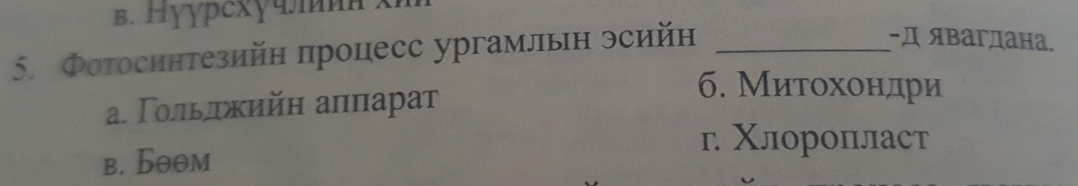 Hγγрcxγчлиα xm
5. Фотосинтезийн процесс ургамлын эсийн_
-д явагдана.
α. Γοльлжийη аππарат
б. Митохондри
г Χлоропласт
в. Бθθм