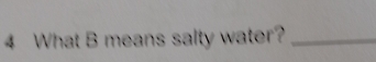 What B means salty water?_